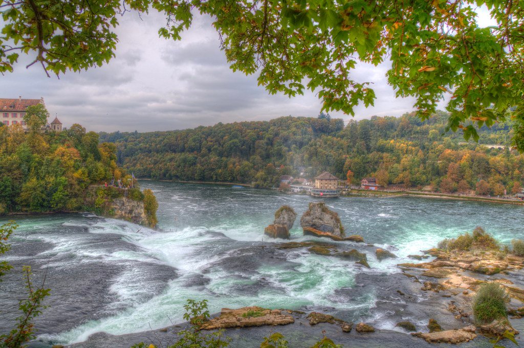 Rediscovering the Power of Nature: A Call for Holistic Health
