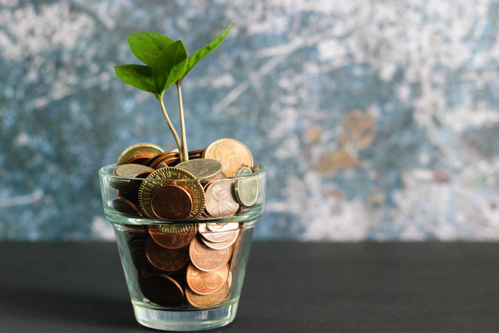 Mastering Your Finances: Essential Financial Management Tips Every Business Owner Should Know