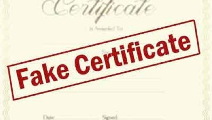 Parliamentary Panel Pushes for Stricter Laws Against Fake Caste Certificates
