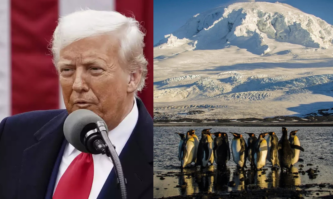 Trump imposes 10% tariff on island with no humans