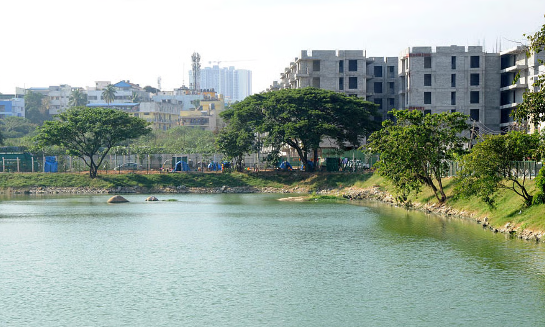 Karnataka plans to reduce lake buffer zones, BJP calls it ‘real estate gangsterism’